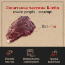 Лопаткова частина Blade